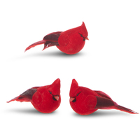 RAZ Holly & Pine - 11.4cm/4.5" Clip-on Cardinal HO (3AT)