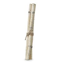 RAZ Seasons Frost - 66cm/26" Birch Stick Bundle