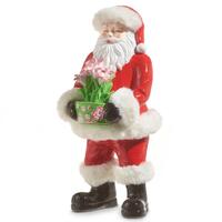 RAZ Christmas In The Garden - 35.5cm/14" Santa with Amaryllis