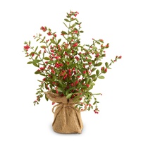 *NEW* RAZ Yuletide Traditions - 40.65cm/16" Red Berry Tree in Burlap Bag