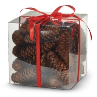 *NEW* RAZ Yuletide Traditions - 7.6cm/3" Box of Pinecones
