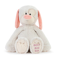 DEMDACO Baby - 40cm/16" Best Big Sister Plush Dog