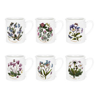 Portmeirion Botanic Garden - 0.26L Breakfast Mugs (Boxed S/6)