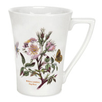 Portmeirion Botanic Garden - 0.28L Mandarin Mug