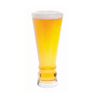 Dartington - 500ml/17Fl.oz  Pilsner Lager Glass