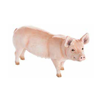 John Beswick Farmyard - 10cm White Pig