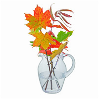 Dartington - 21cm/8.3" Gardener's Blossom Jug