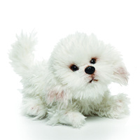 DEMDACO Baby - 24cm/9.5" Small Bichon Frise
