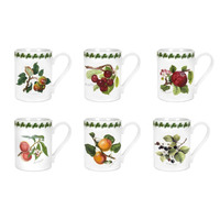 Portmeirion Pomona - 0.28L Coffee Mug (S/6)