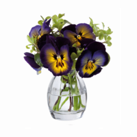 Dartington - 9.5cm/3.7" Pansy Vase