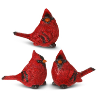 RAZ Holly & Pine - 8.25cm/3.25" Cardinal (3AT)